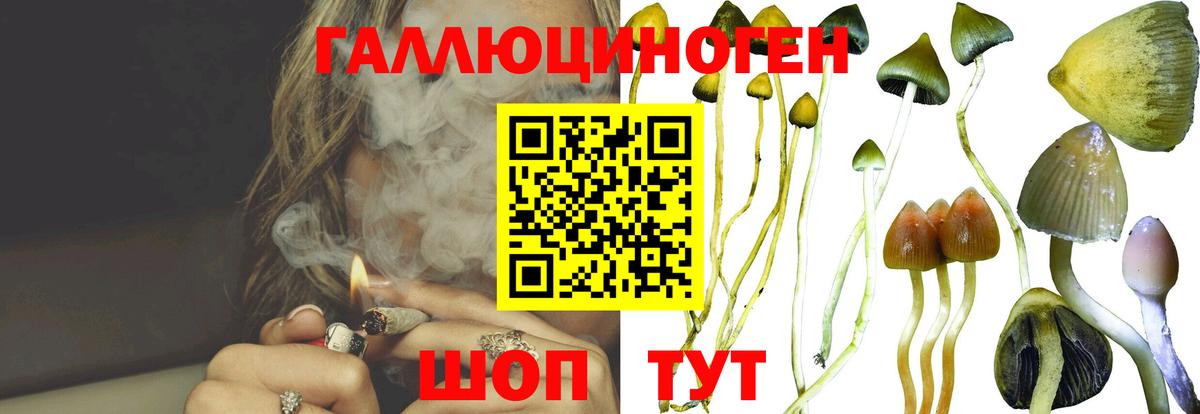 Псилоцибиновые грибы MAGIC MUSHROOMS  Галлюциногенные грибы прущие грибы  Вход с VPN  Свободный 
